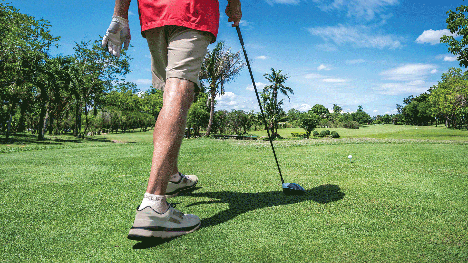 Golf Socks